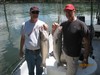 (05/28/2017) - Nice Striped Bass